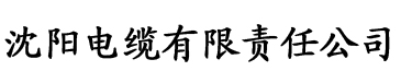 日韩中文字幕在线综合网电缆厂logo